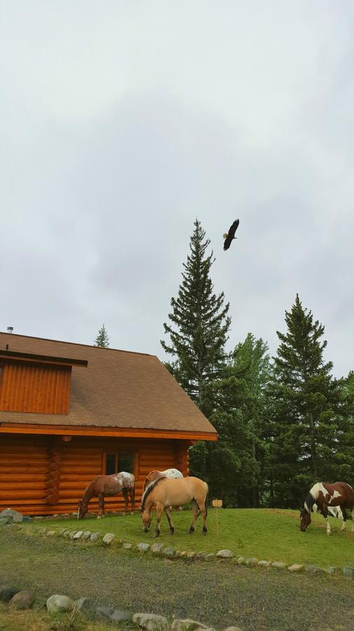 Wettstone Guest Ranch Bed & Breakfast Bridge Lake Exterior foto